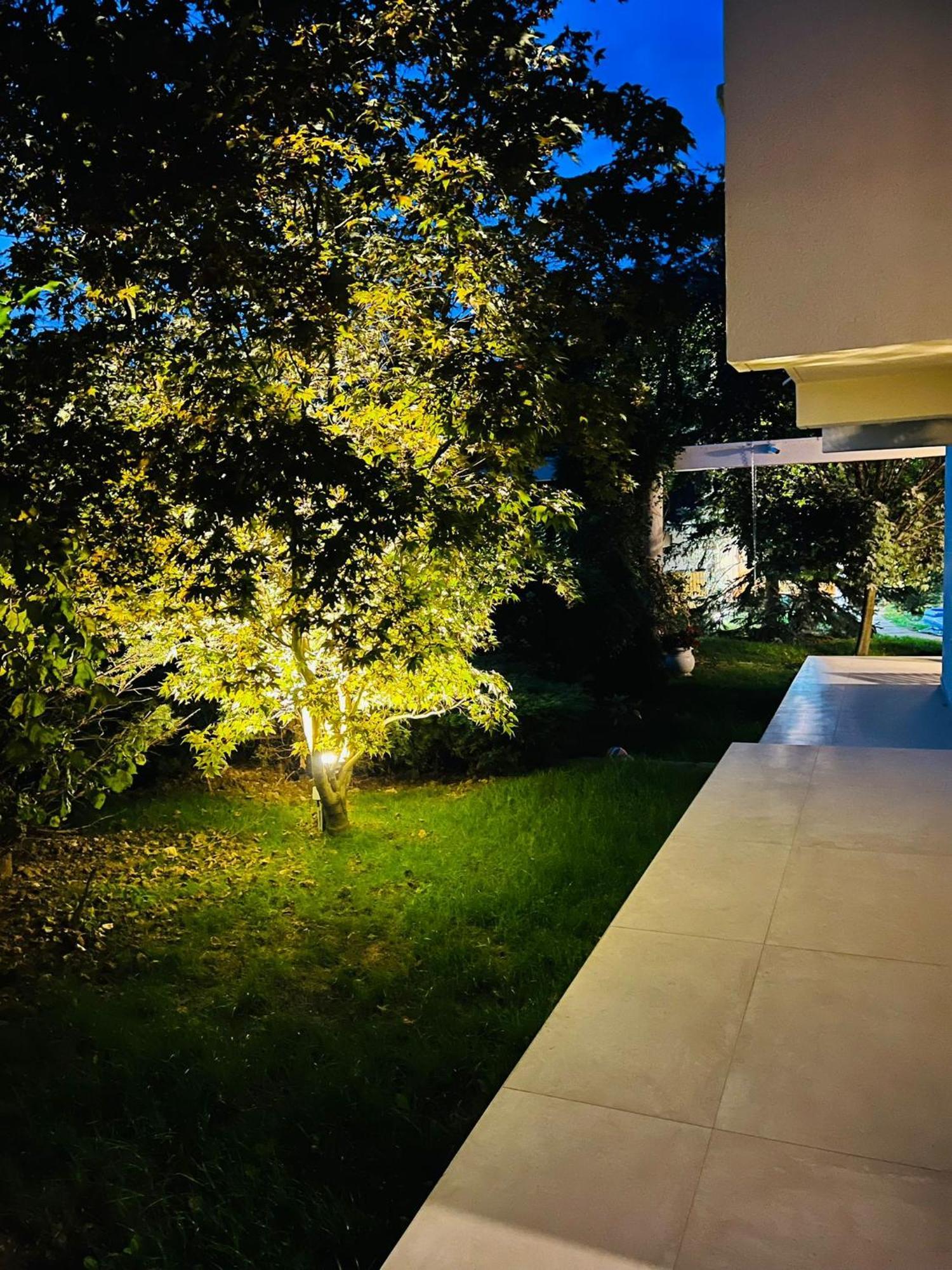 Evie'S Tree House Villa Dragomirna Exterior foto
