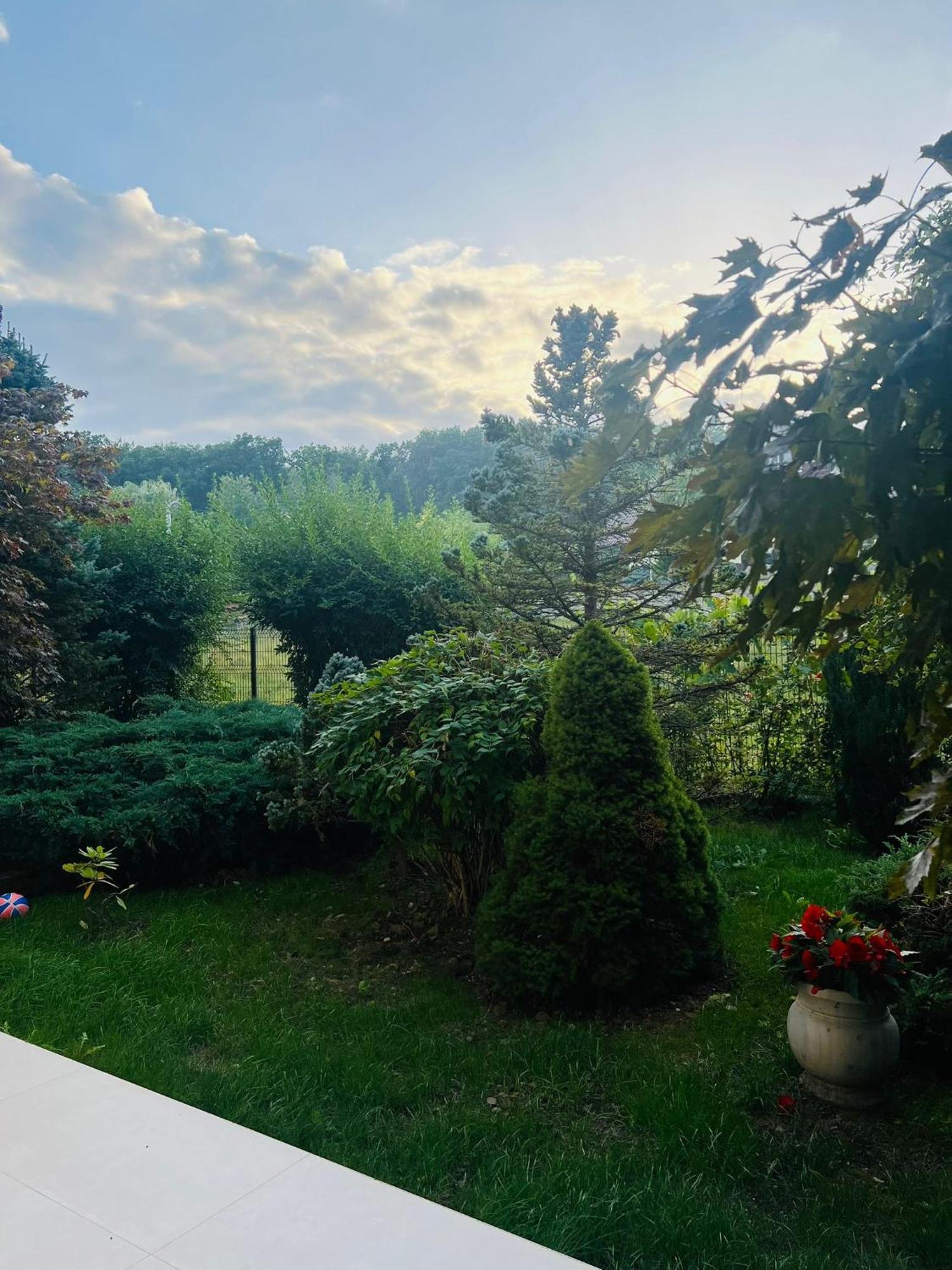 Evie'S Tree House Villa Dragomirna Exterior foto